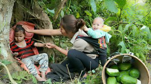 Сбор дикорастущих клубней для продажи на рынке. Спасение мальчика, заблудившегося в лесу. Вьетнам