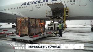 ПЕРЕЕЗД В СТОЛИЦУ. Большой город 11/11/2025