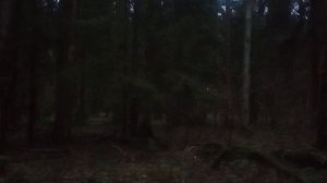 Правда о марафон-ах, триатлон-ах и айромэн-а и реальность