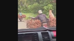 ПРИКОЛЫ и смешные ВИДЕО👍😂😀