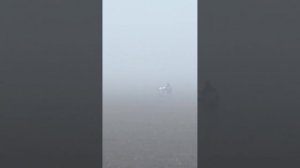 Шерхан, рздел А, след, IGP2, 7-9.11.2025, Ростов-на-Дону, 100 б.