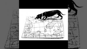 РАССКАЗЫ О ЖИВОТНЫХ. МОИ ЗВЕРИ. Каштанка, Бишка и Запятайка