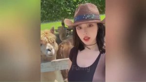 Приколы!🤣🤣