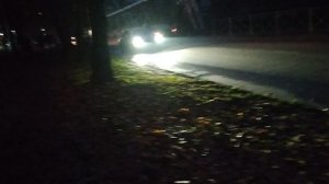 10.11.25 Пешеходные огни