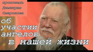 Проповедь об участии ангелов в нашей жизни. Протоиерей Димитрий Смирнов 20 ноября 2004 год