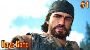 Days Gone прохождение с русской озвучкой часть 1