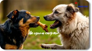 Надежда Тэффи-Два -рассказ