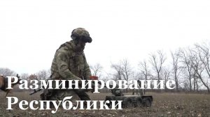 Росгвардейцы провели операцию по разминированию территории ЛНР