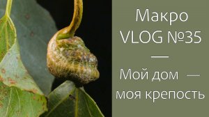 Мой дом — моя крепость. МакроVLOG №35