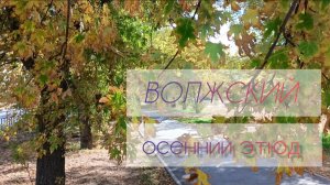 Волжский. Осенний этюд✅