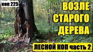 или ПРОДОЛЖЕНИЕ, КАК  Я УЖЕ СО СЧЕТУ СБИЛСЯ ИХ СЧИТАТЬ. коп 225