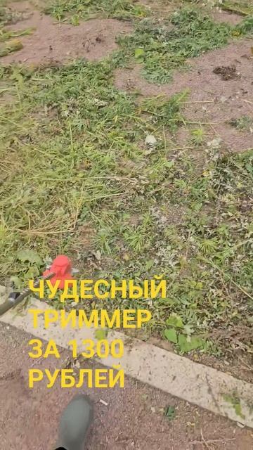 Триммер за 1300 р. с Озона действительно работает! #отзыв #озон
