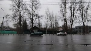 Пасмурный ноябрь/Дела домашние/Вычесываем Манефу