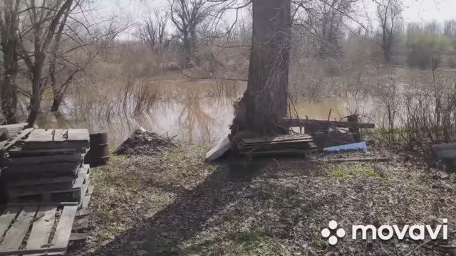 Первая поездка на дачу. Приехали, а теплицы нет!!!