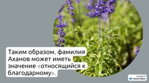 Фамилия Аханов: откуда она происходит, что означает и как ее правильно склонять – полный гайд