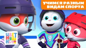 Учимся разным видам спорта с Лисёнком Айяяй | Цветняшки мультики для детей | сборник