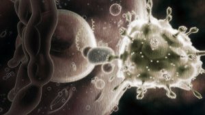 Вирусы разрушают вас изнутри! 10 шагов для крепкого иммунитета 🙌