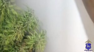 Фитнес-инструктор, оборудовавший наркоплантацию в подвале своего гаража,ответит перед судом в Самаре