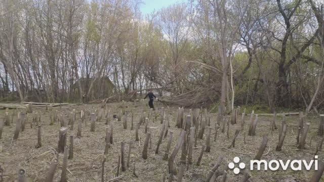 Купили участок. Расчистка участка. Под бурные овации ставим жирную точку!