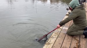 Спорт зона котлета