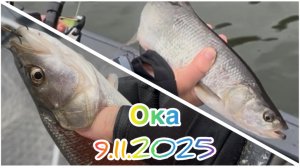 Ока в ноябре. Закрываем осенний сезон. Попали на выход жереха!