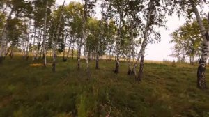 Пришла пора.