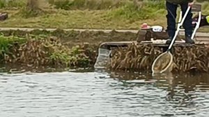 VID_20251111_124532_195