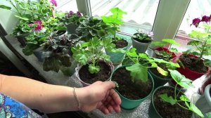 Влог от 14.09.2021