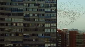 Я УСТАНОВИЛ ANDROID НА IPHONE 7