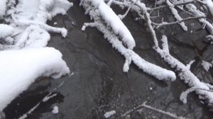 Неопознанный объект на дне реки!