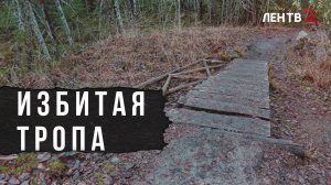 Экомаршрут в «Монрепо» ушел на зимовку досрочно из-за атаки вандалов