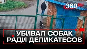 Серийного убийцу собак для приготовления «деликатесов» задержали в Москве