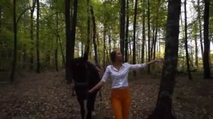 Похабные частушки ну почти похабные