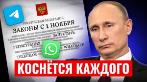 Запрет регистрации WhatsApp и Telegram в России: как не потерять свой мессенджер