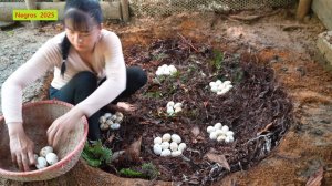 Дорис 53. Занимается домашней птицей. Утки, куры.