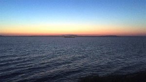 ИГОРЬ ПШЕНИЧНЫХ. Горизонт.