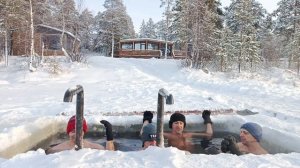 моржи Муравленко 11.11.2025