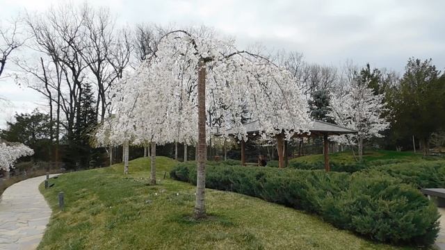 ВИДЕО ПВН  АВ   (53) КРАСНОДАР. ПАРК  ГАЛИЦКОГО.