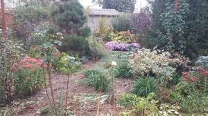 11-11-2025 Покупки Журнал по вязанию ( архив)