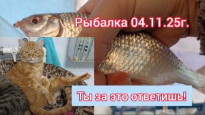 Рыбалка 04.11.25г. Ты за это ответишь!