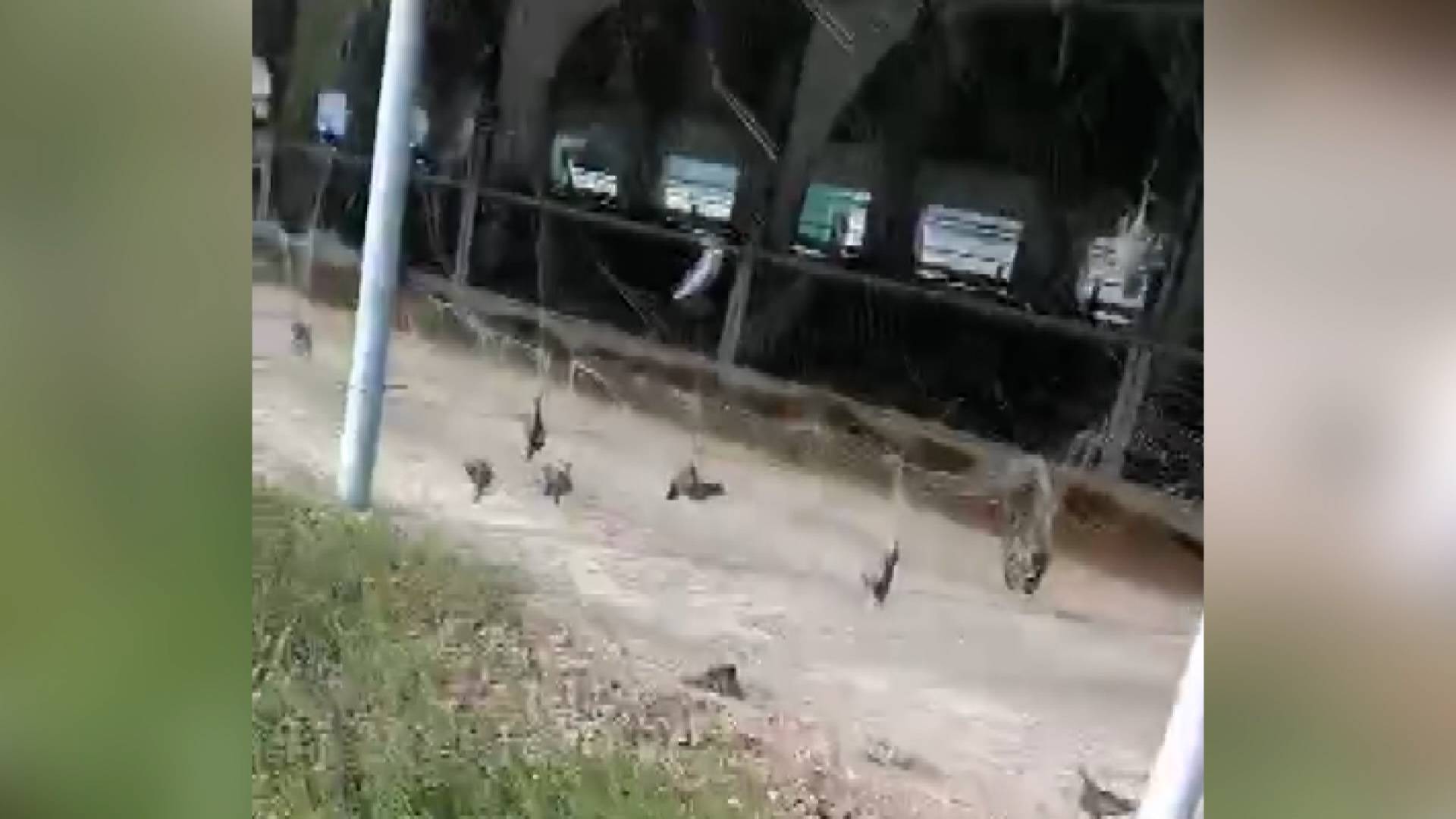 ФАКТЫ. Выпуск от 11.11.25