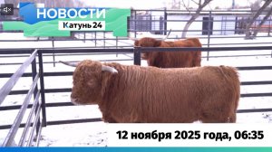 Новости Алтайского края 12 ноября 2025 года, выпуск в 6:35