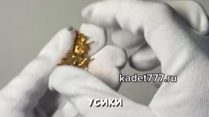 петлицы ФСИН золото