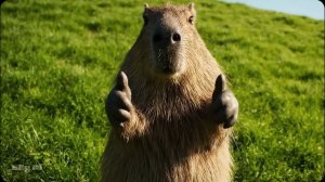 Сборник ИИ приколов. Нейросети не остановить