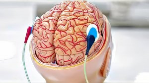 10 СПОСОБОВ СТАТЬ УМНЕЕ