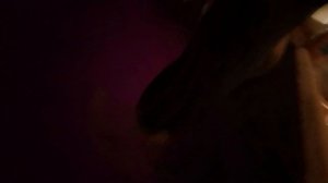 обычная и моя любимая хата