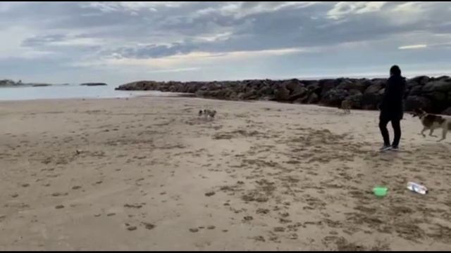 Панчо. Видео к вебинару Что пошло не так?