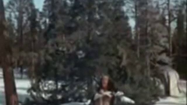 video5231160546077737254