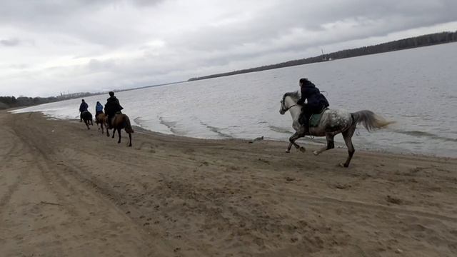 Осенние сборы_Танцы и кони