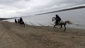 Осенние сборы_Танц и кони